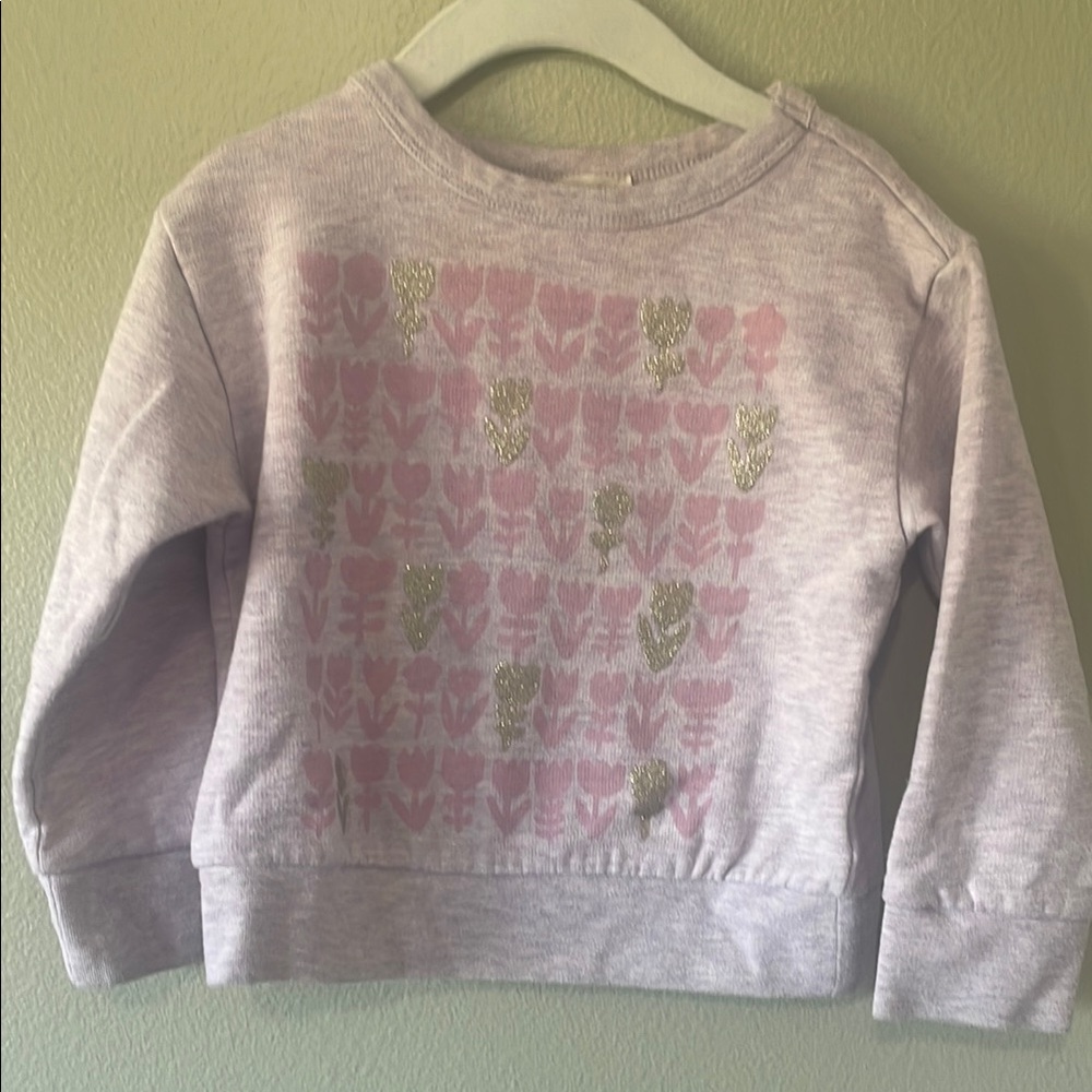 Crewcuts Kids Pink and Gold Patterned Sweatshirt 2-3t